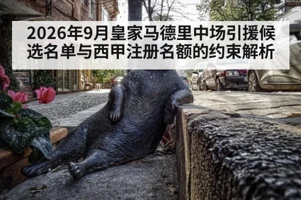2026年9月皇家马德里中场引援候选名单与西甲注册名额的约束解析